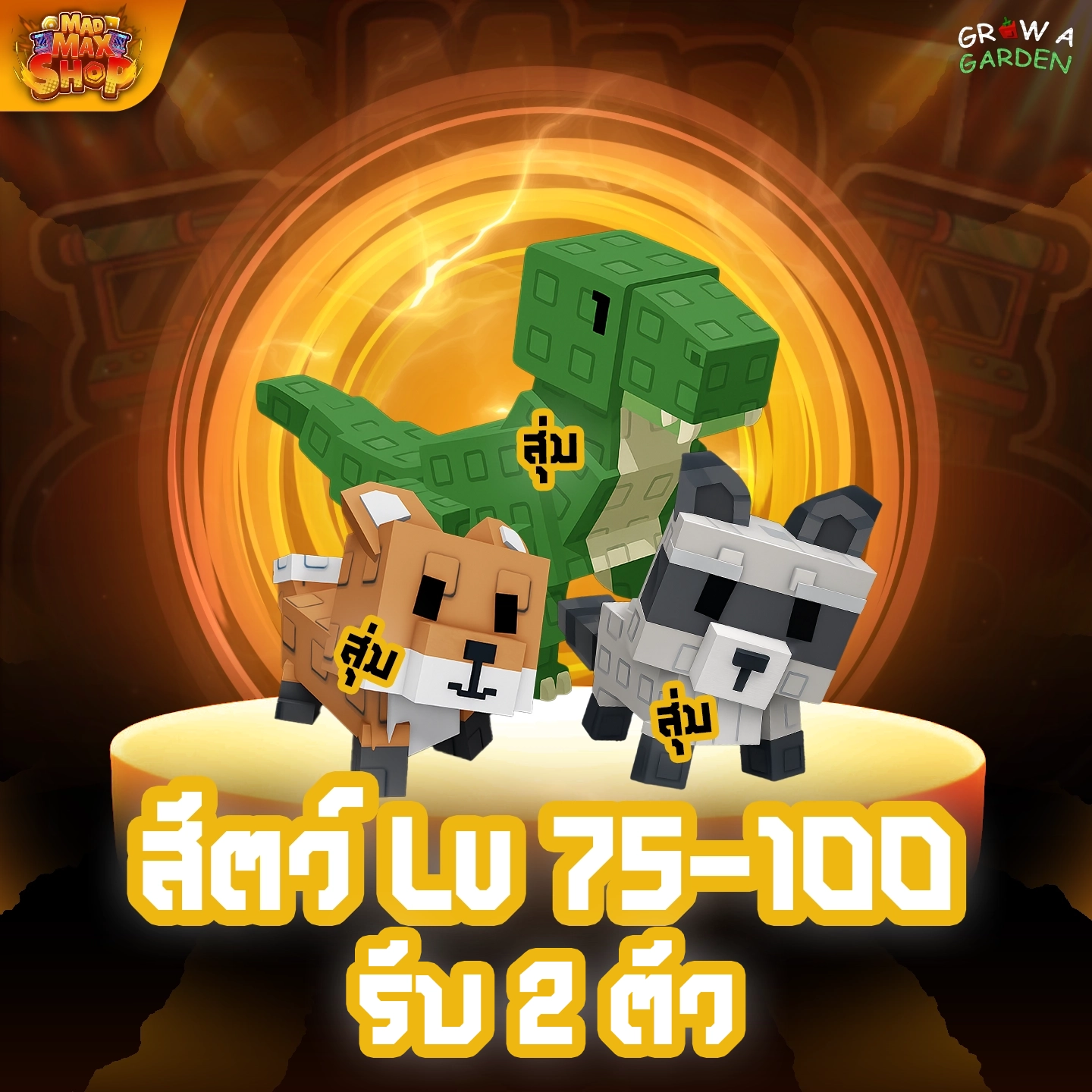 ไก่สัตว์ Lv.75-100 2 ตัว