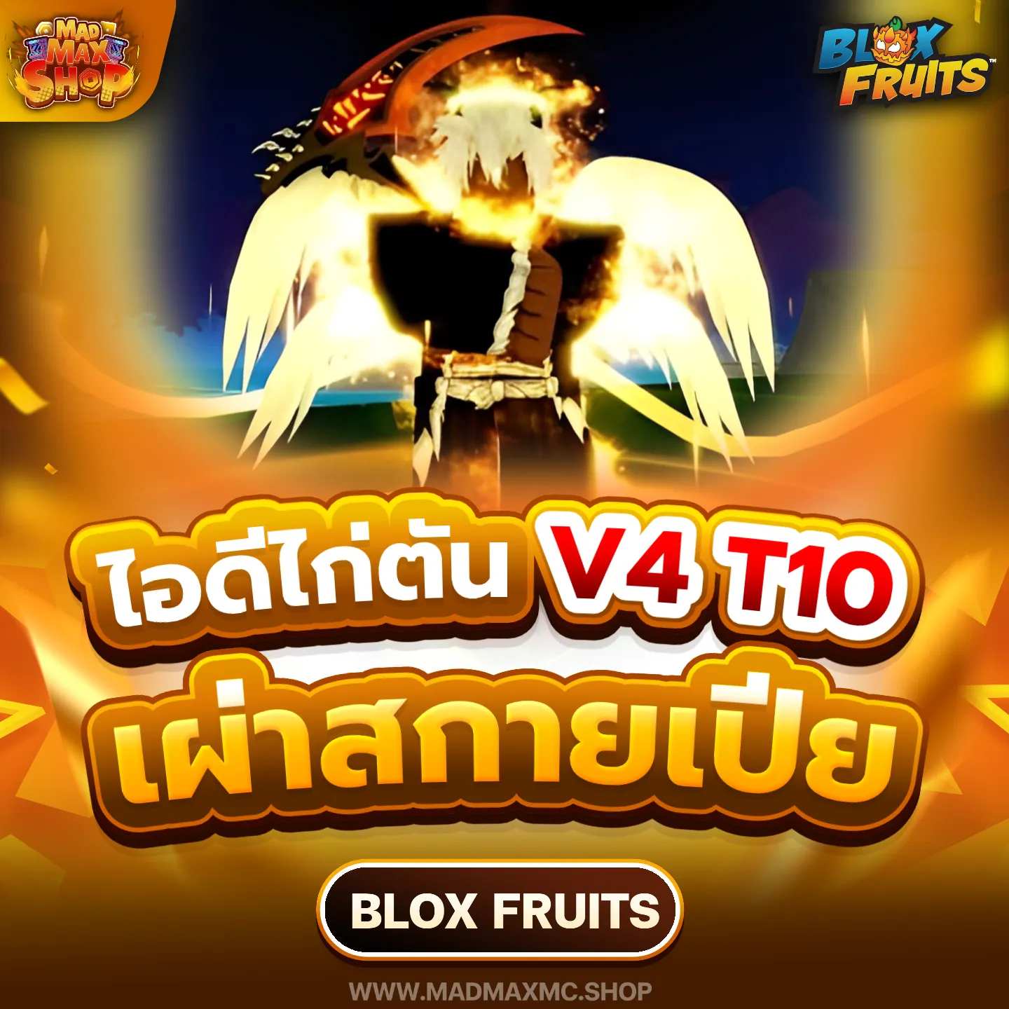 ไก่ตันเผ่านางฟ้า V4 T10 | ไอดี Roblox พร้อมส่ง MADMAXShop